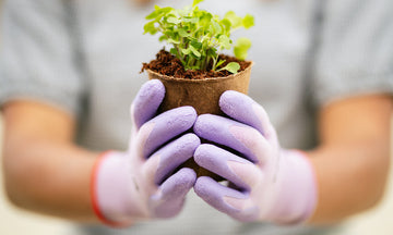 Greenhouse Tips & Tricks for Outstanding Performance