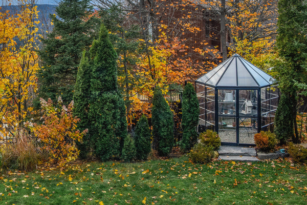 Halo Polycarbonate Greenhouse – One size available