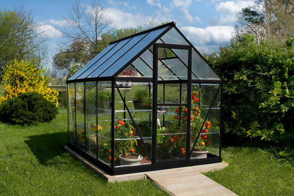 Celeste Polycarbonate Greenhouse – One size available