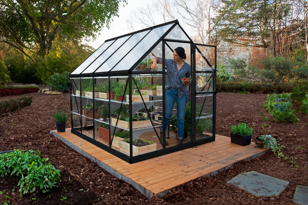 Celeste Polycarbonate Greenhouse – One size available