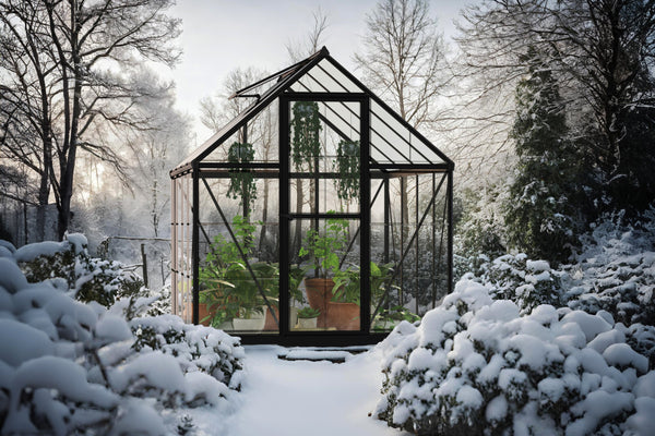 Celeste Polycarbonate Greenhouse – One size available