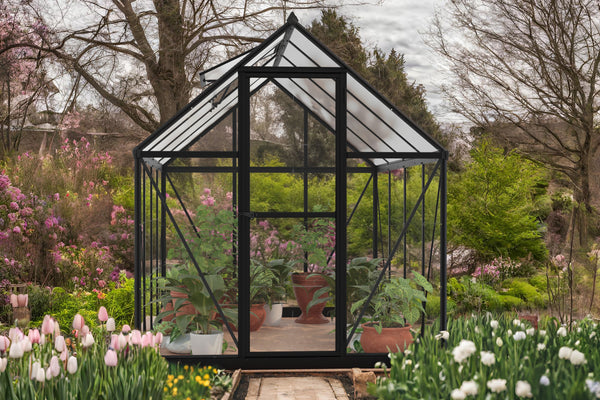 Celeste Polycarbonate Greenhouse – One size available