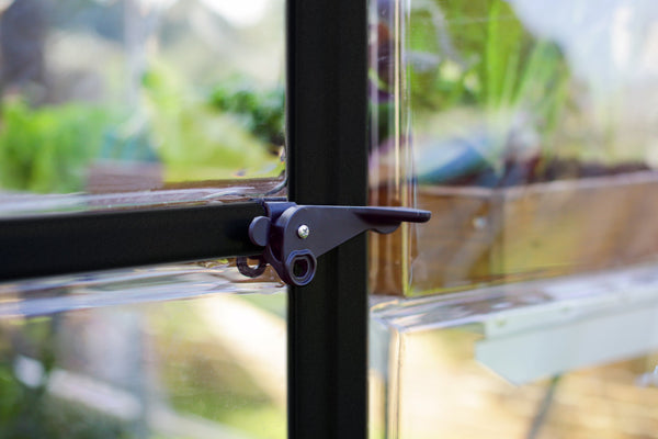 Celeste Polycarbonate Greenhouse – One size available